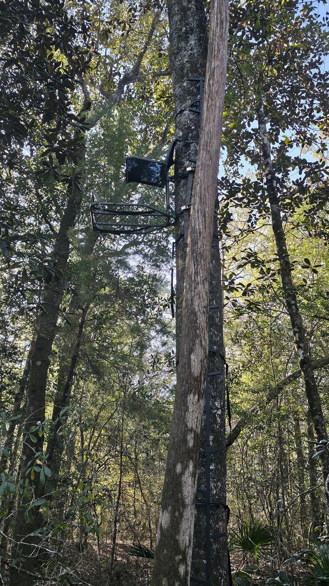 Summit Treestands Ledge XT Hang-on Tree Stand | Lightweight | Folding Comfort-Mesh Seat (SU82117), Black customer photo 1