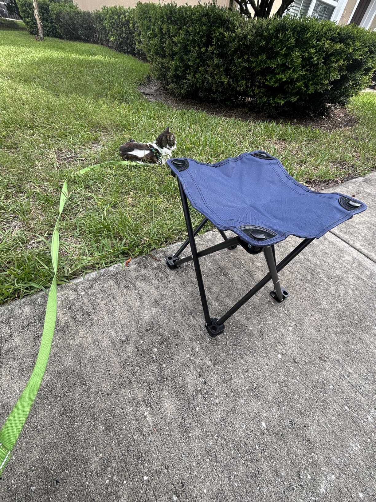 Camping Stool, Folding Small Chair Portable Camp Stool for Camping Fishing Hiking Gardening and Beach, Camping Seat with Carry Bag (Blue-Leaf) customer photo 1