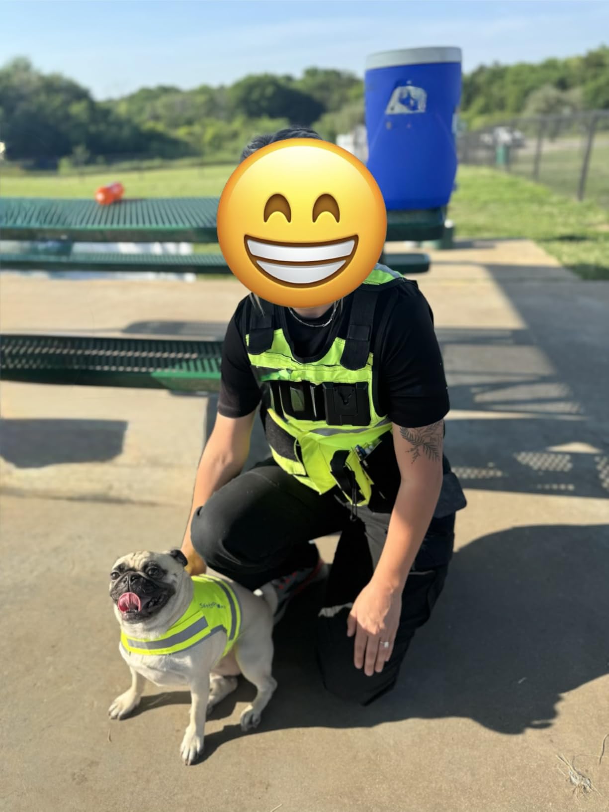 SafetyPUP XD Lite Blaze Orange Reflective Dog Vest - High Visibility Hunting & Safety Vest with Lightweight Mid-Back Coverage. Apparel Gear for Small Medium and Large Breeds customer photo 1