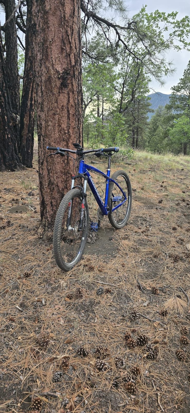 BUCKLOS 29 MTB Suspension Fork Travel 100mm QR 9mm Crown Lockout | 28.6mm Straight Tube, Aluminum Alloy, XC Mountain Bike Front Forks customer photo 1