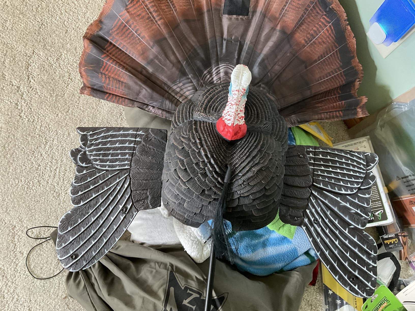 MOJO Scoot-N-Shoot MAX Tom Turkey Hunting Decoy with Realistic Fan customer photo 1
