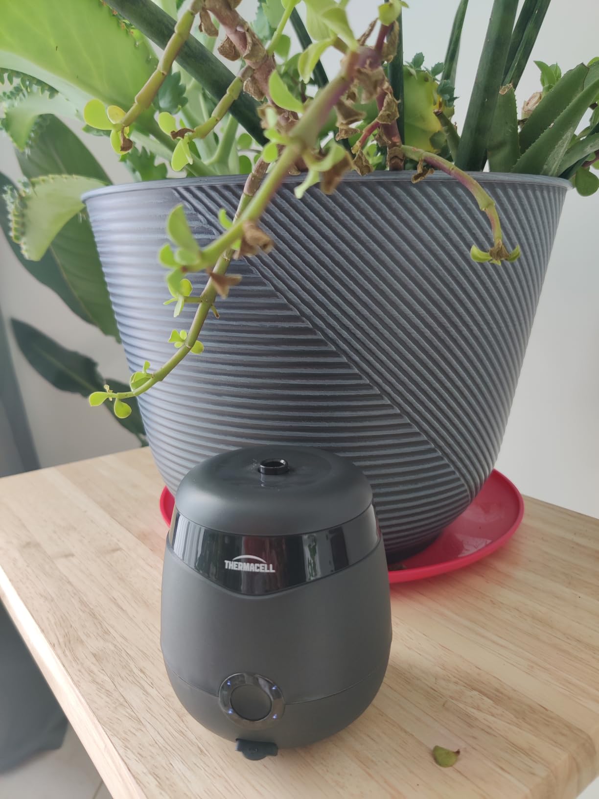 Thermacell E-Series Patio Rechargeable Mosquito Repellent, 5.5-Hr Battery; 20-FT Zone; Includes 12-Hr Refill; Proven Outdoor Protection; Bug Spray Alternative; Scent Free; DEET-Free customer photo 2