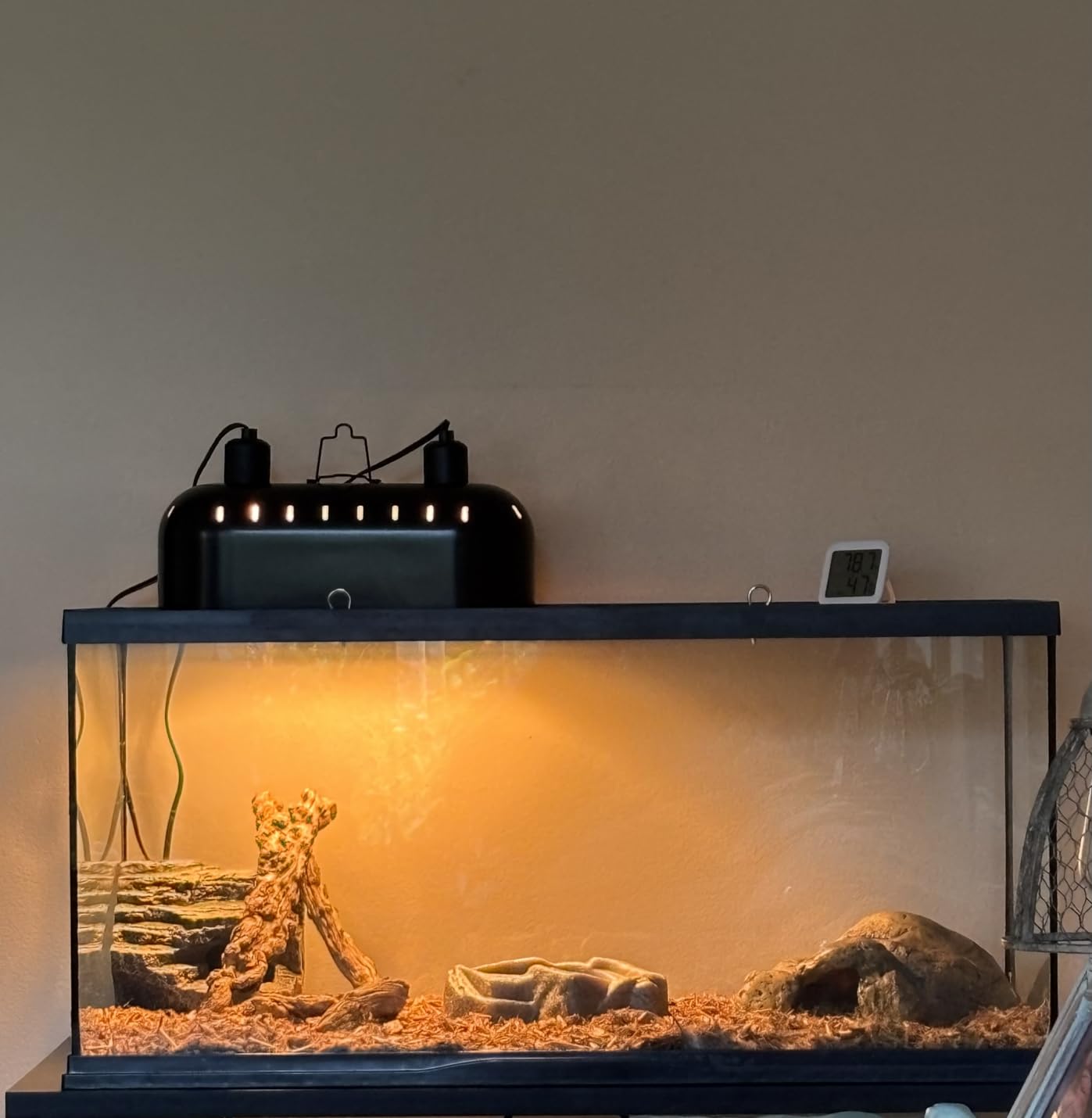 15-Inch Dual Reptile Light Fixture, Max 150W, Separate Switches, Double Dome UVB Light Fixture customer photo 2
