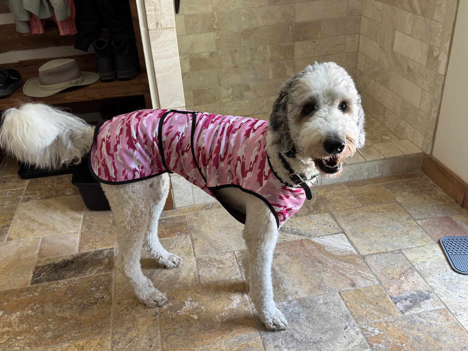 Dog Cooling Vest, 2-Layer Microfiber Cooling Jacket | Longer cooling duration, balanced comfort, UV protection, soft double-layer microfiber fabric, sizes to suit most dogs customer photo 1