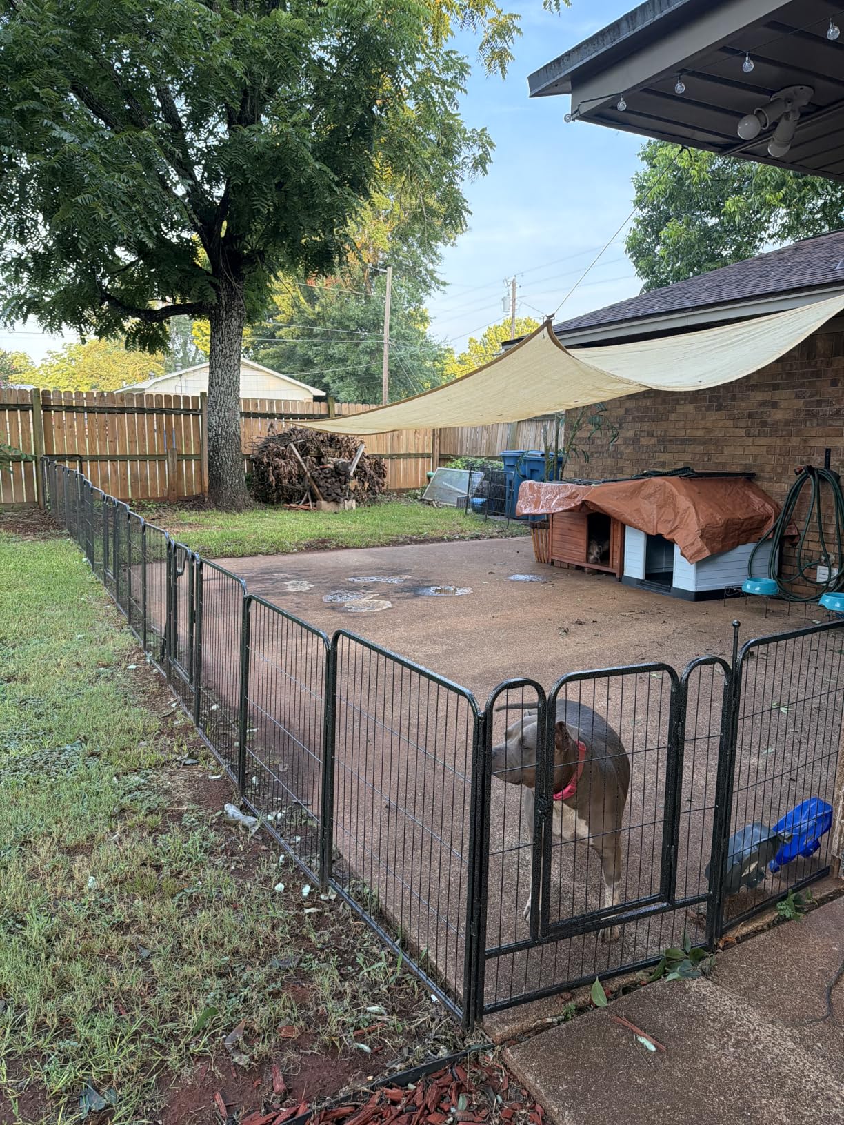 Dog Playpen, 32/40/45 Inch Height in Heavy Duty, Folding Indoor Outdoor Anti-Rust Dog Exercise Fence, Portable Pet Playpen with Door for Large Medium Small Dogs and Pet customer photo 1
