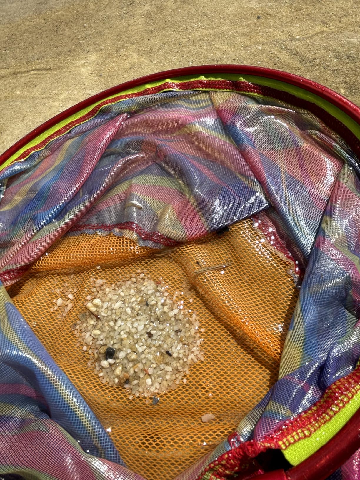 Kids Fishing Net - Extendable Telescopic Landing Net for Boy Girl Children Catching Small Fish Crab Shrimp Minnow Dragonfly Beach Pier Lake River Ocean customer photo 1
