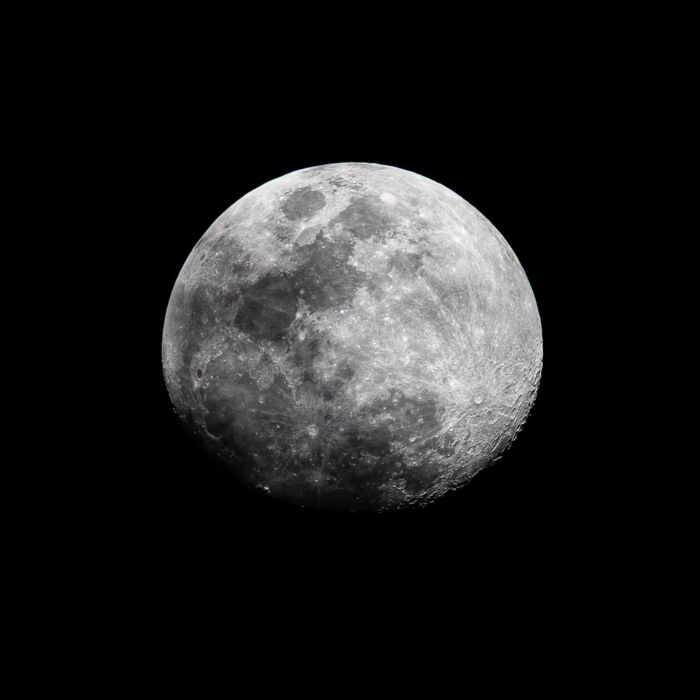 Sigma 150-600mm F5/-6.3 DG DN for Sony E | Lens displays beautiful bokeh throughout its zoom range customer photo 1