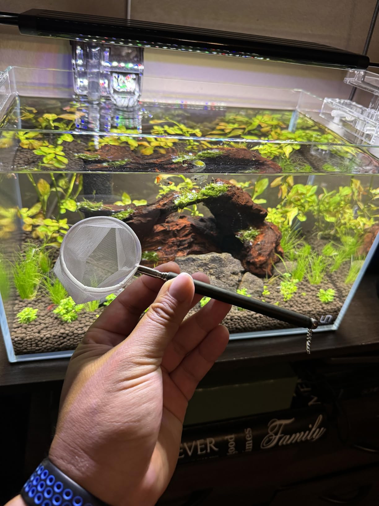 AQUANEAT Small Fish Tank Shrimp Net, Aquarium Debris Cleaning Tools, with Extendable Handle customer photo 2