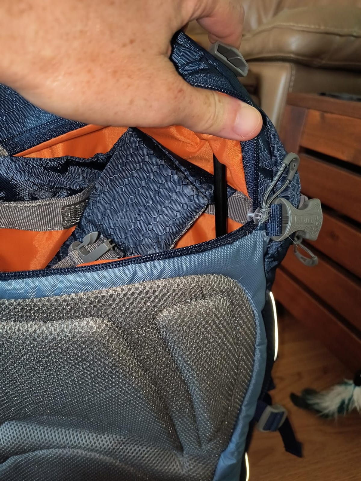 Kurgo G-Train Dog Carrier Backpack - Comfortable Travel Bag for Pets Up to 25 lbs - Waterproof Bottom - Multi-Compartment Pack - Dog Hiking Gear - Rugged Adventure Backpack - Navy Blue customer photo 2