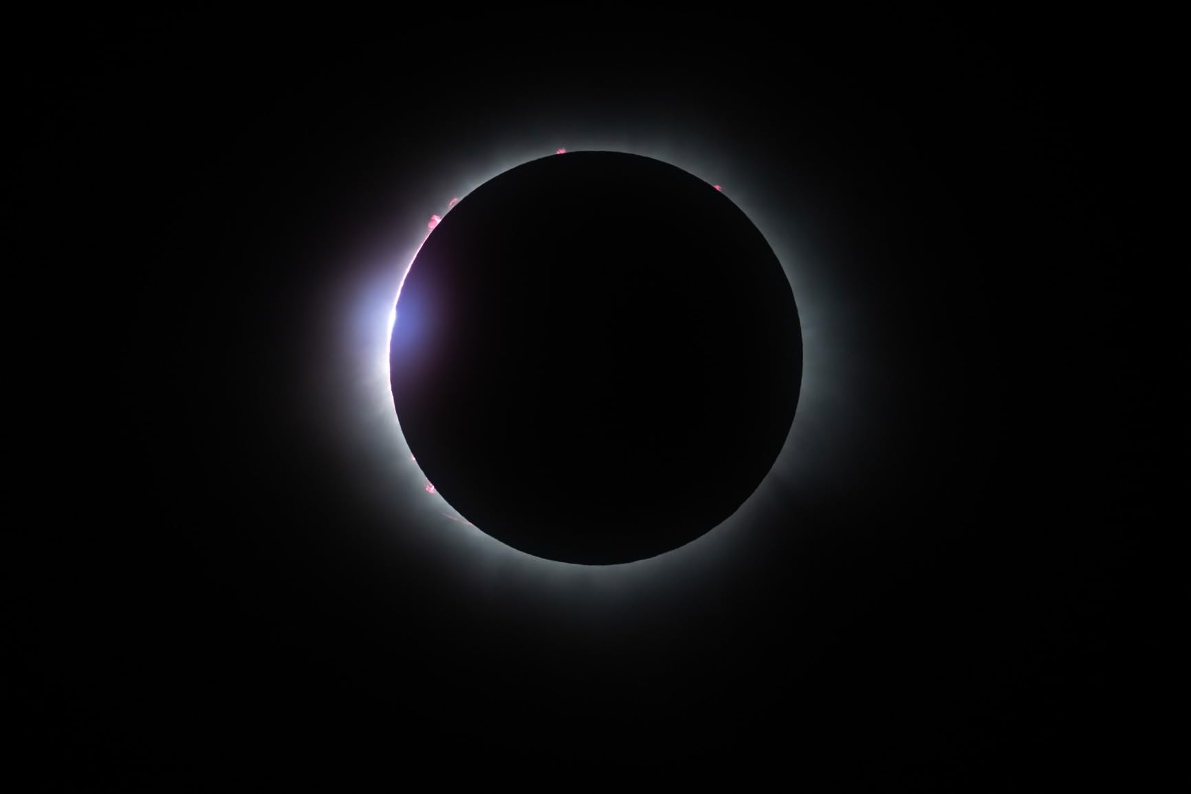 Nikon NIKKOR Z 800mm f/6.3 VR S customer photo 2