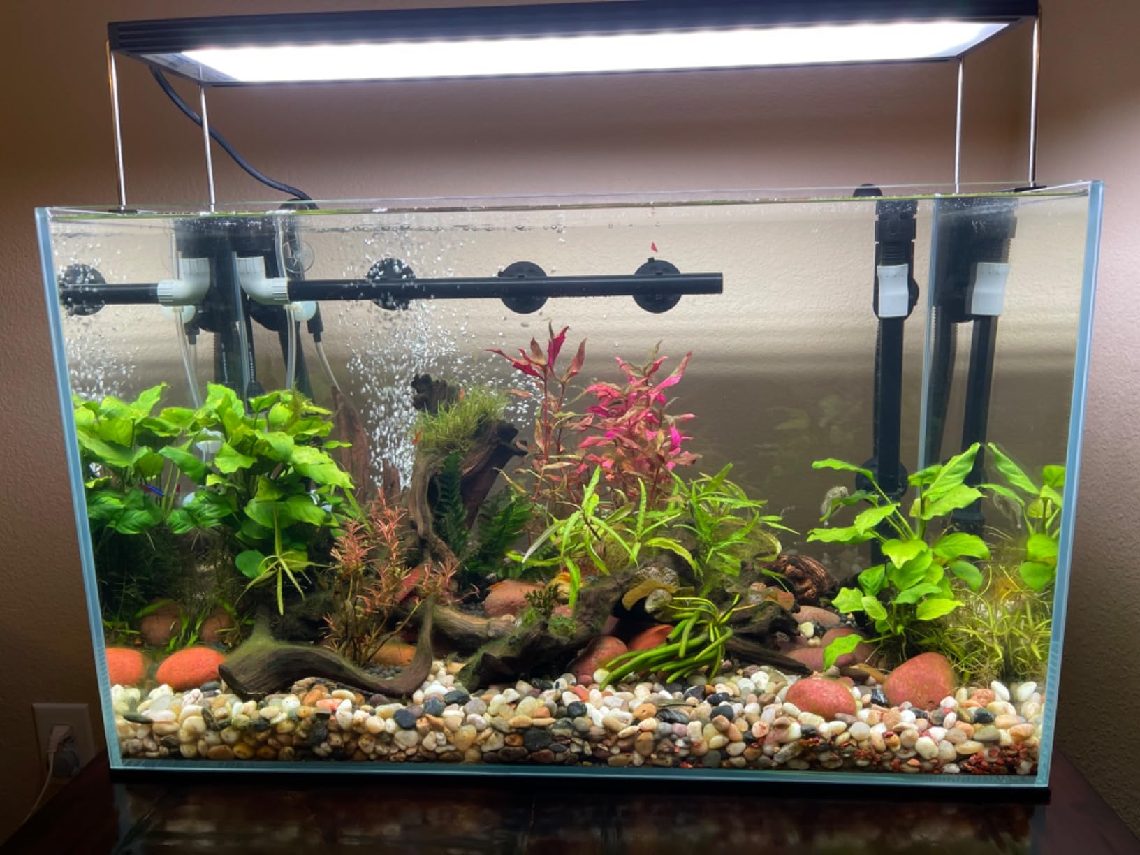 Chihiros WRGB II PRO LED Aquarium Light - Full Spectrum, Bluetooth App Control, Fish Tank Light w/Timer for Aquatic Plants, Freshwater Fish Tank - WRGBII PRO 60cm customer photo 1