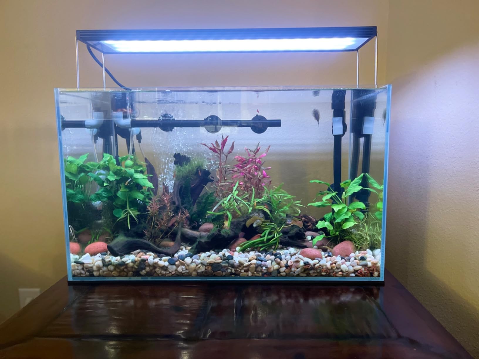 Chihiros WRGB II PRO LED Aquarium Light - Full Spectrum, Bluetooth App Control, Fish Tank Light w/Timer for Aquatic Plants, Freshwater Fish Tank - WRGBII PRO 60cm customer photo 2