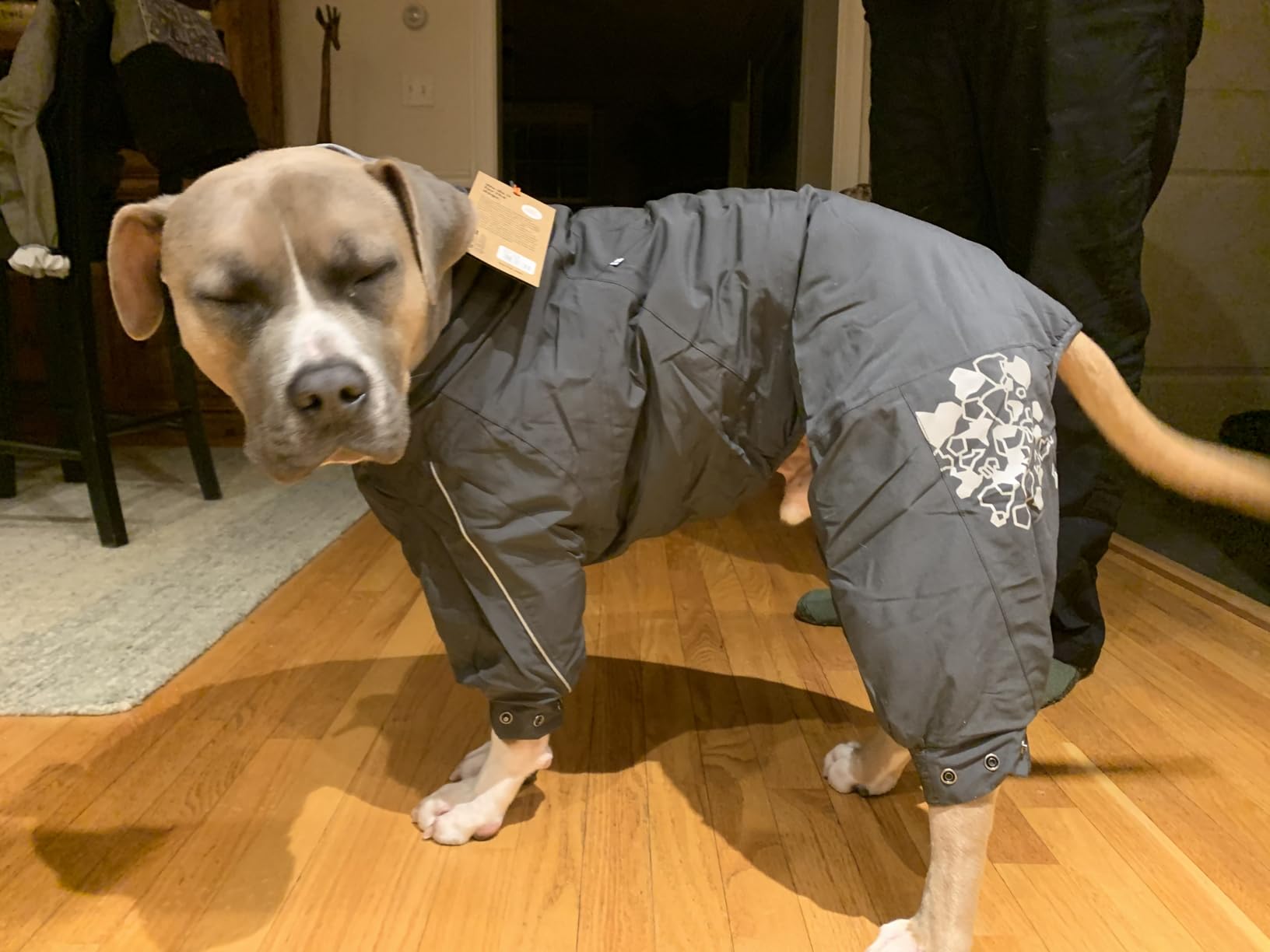 Hurtta ECO Extreme Warmer 2, Winter Dog Coat, Cinnamon, 14 in customer photo 2