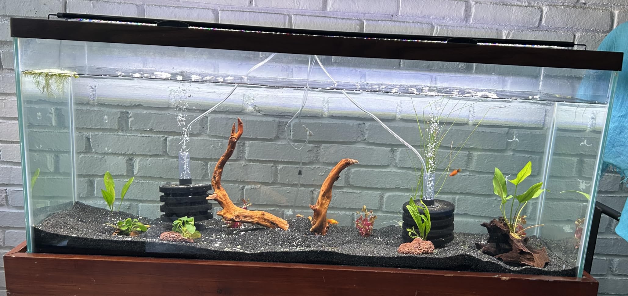 SEAOURA Led Aquarium Light for Plants Growth, Fish Tank Light 12-18 Inch | Full Spectrum Aquarium Lights for Fish Tank with Timer, 10 Dimmer, Extend Bracket, Memory, Auto On Off, 3 Lighting Modes customer photo 2