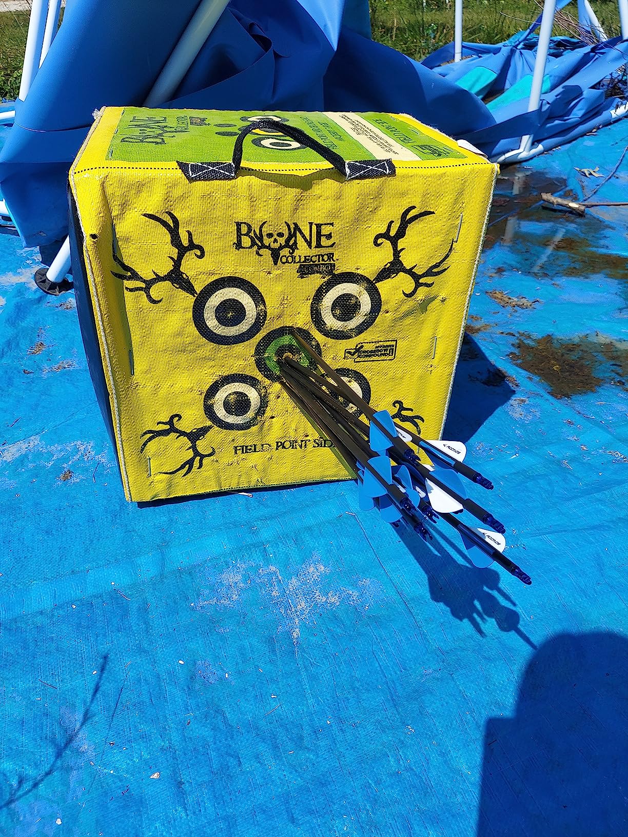 Youth Compound Bow Set 15-45 Lbs for Teens and Beginner, Package with Archery Hunting Equipment, Max Speed 260fps, Adjustable, Right Hand customer photo 2