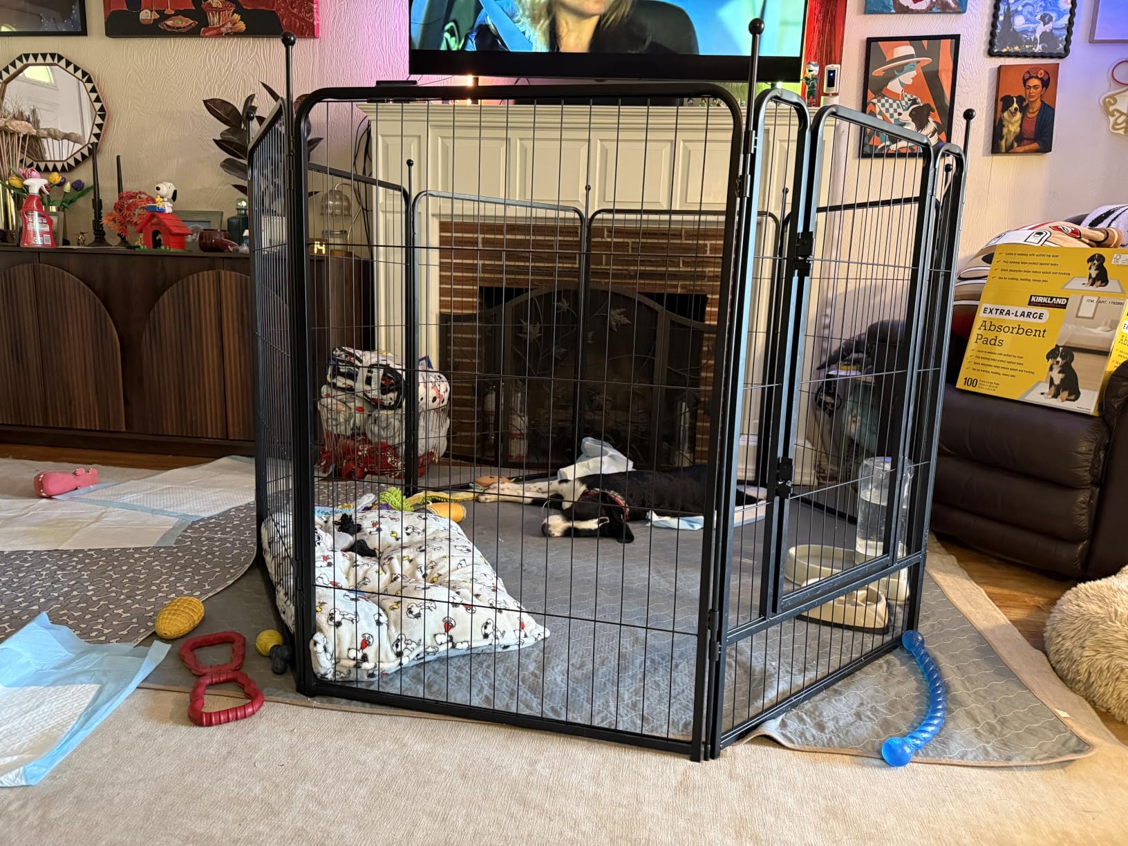 FXW Rollick Dog Playpen, Indoor, Yard & RV Camping, 40