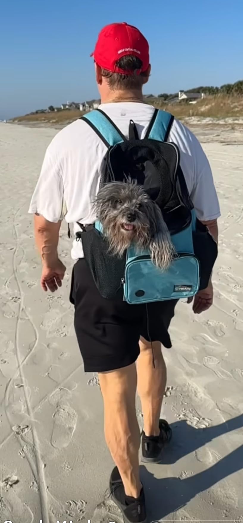 PetAmi Adjustable Dog & Cat Chest Carrier Backpack, Ventilated for Hiking & Camping, Small to Large Pets, Max 10 lbs, Dark Gray customer photo 1