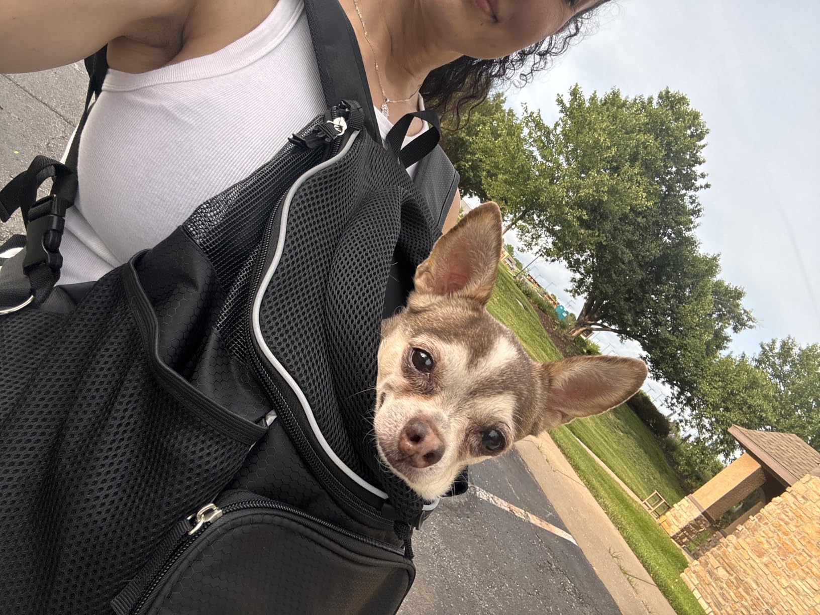 PetAmi Adjustable Dog & Cat Chest Carrier Backpack, Ventilated for Hiking & Camping, Small to Large Pets, Max 10 lbs, Dark Gray customer photo 2