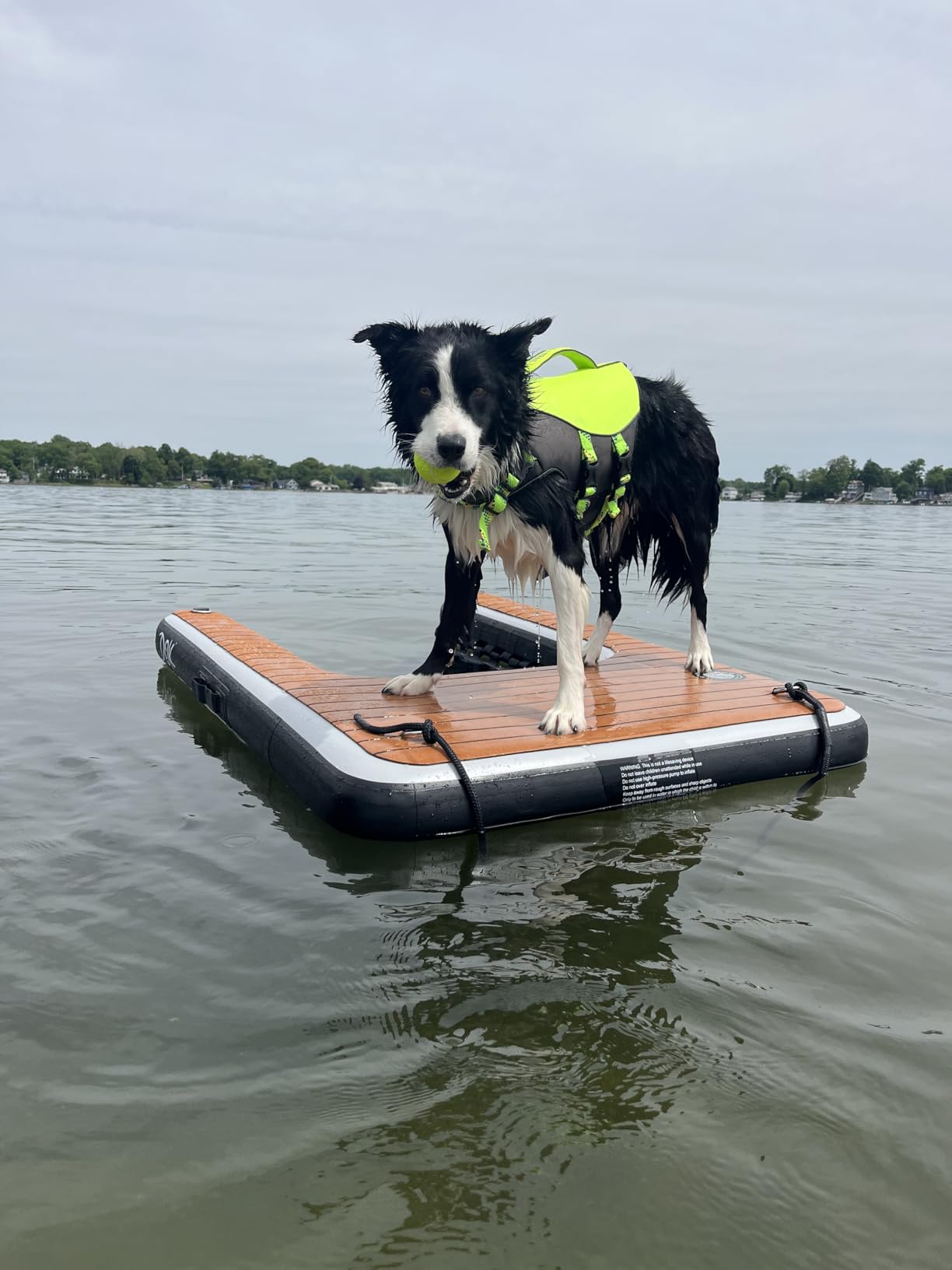 DOK Dog-DOK Inflatable Dock Platform: Safe & Easy Water Access for Dogs Up to 250 lbs; Floating Non-Slip EVA Foam with Dog Boat Ramp for Pool, Dock, & Lake | Military Grade & High Visibility customer photo 1