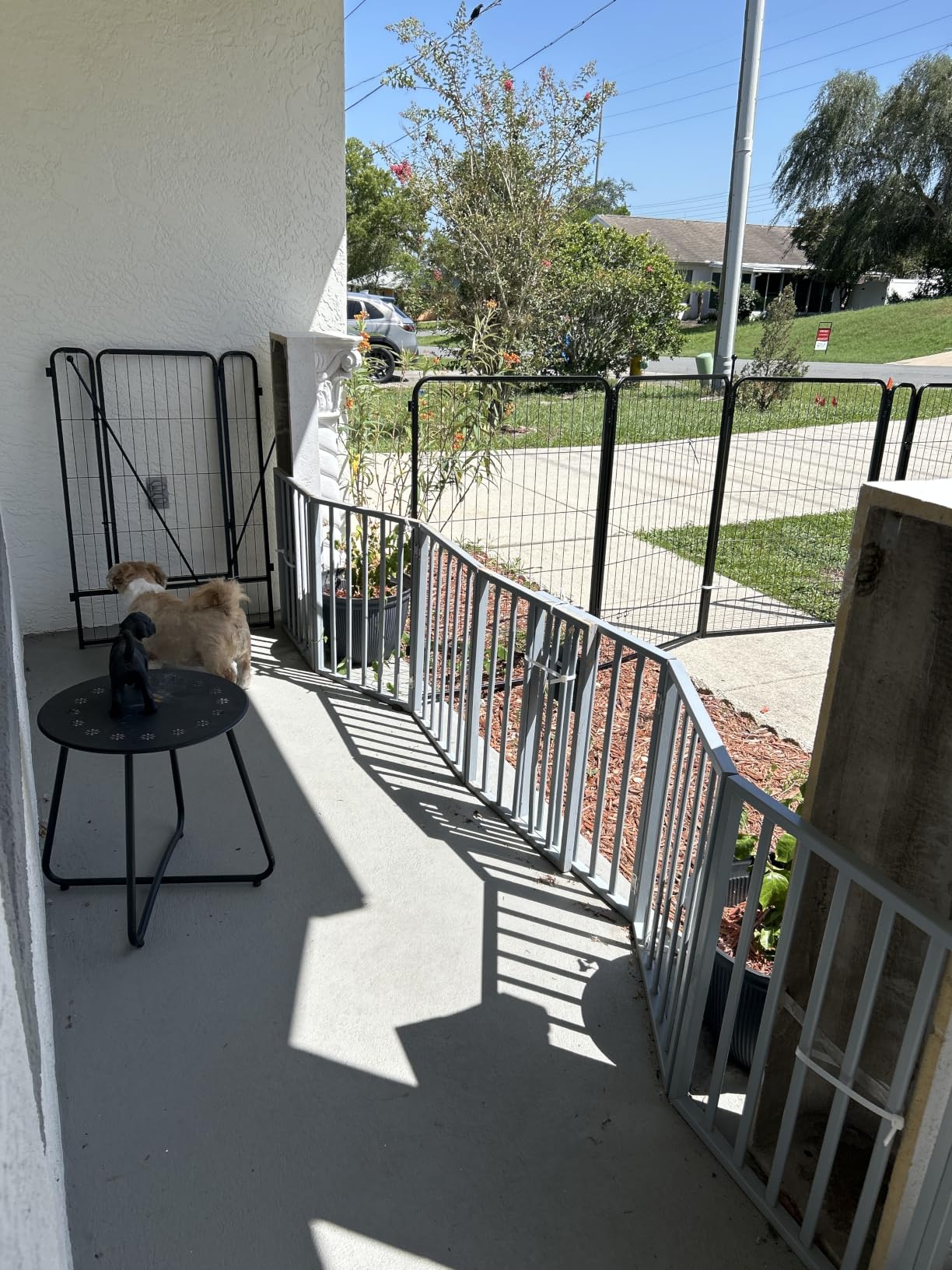 FXW Rollick Unleashed Dog Playpen for Indoor, Yard, RV Camping, 40 inch 16 Panels for Medium and Large Dogs│Patented customer photo 1