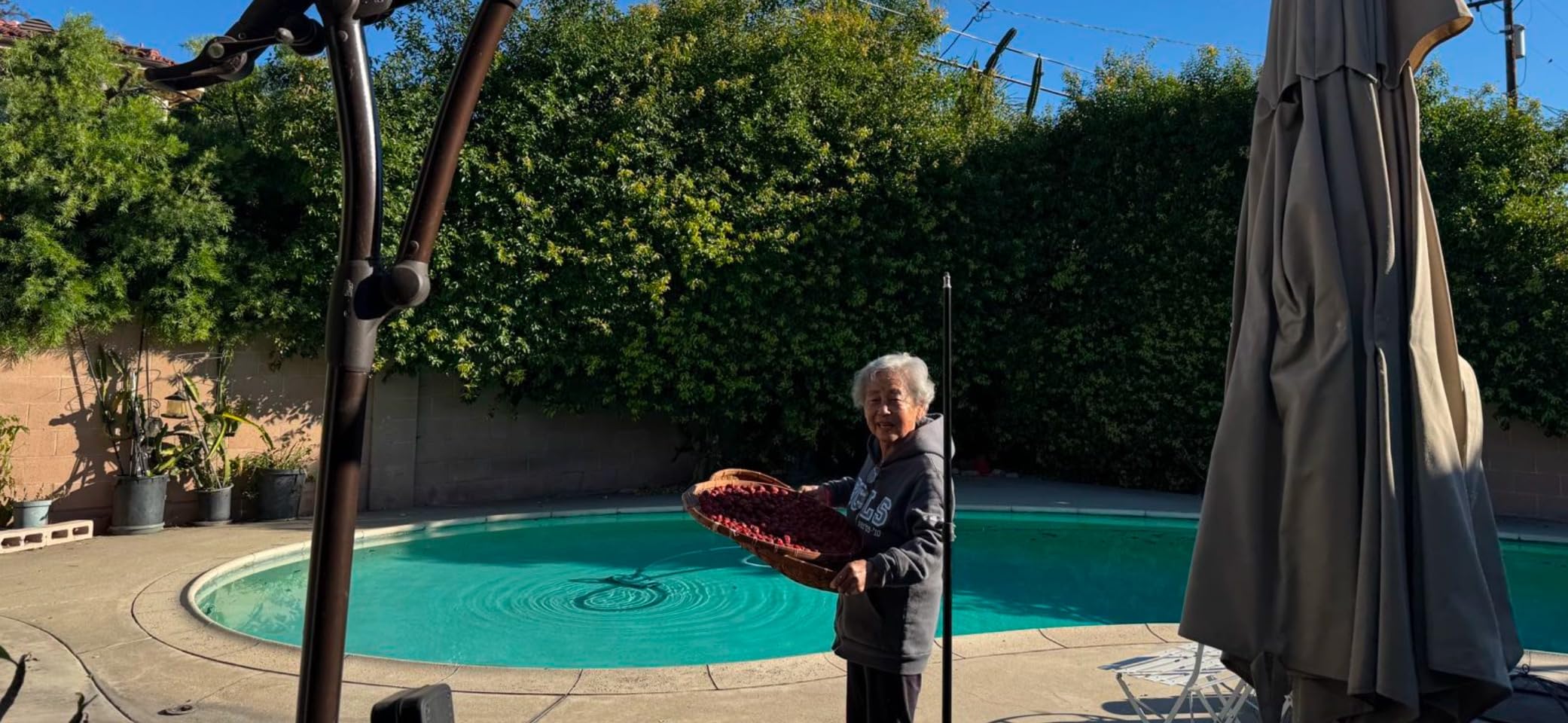 Polaris MAXX Premium Suction-Side Automatic Pool Cleaner | Smart Navigation and HALO Technology for Easy Debris Removal, Energy Efficient, All In-Ground Surfaces customer photo 2