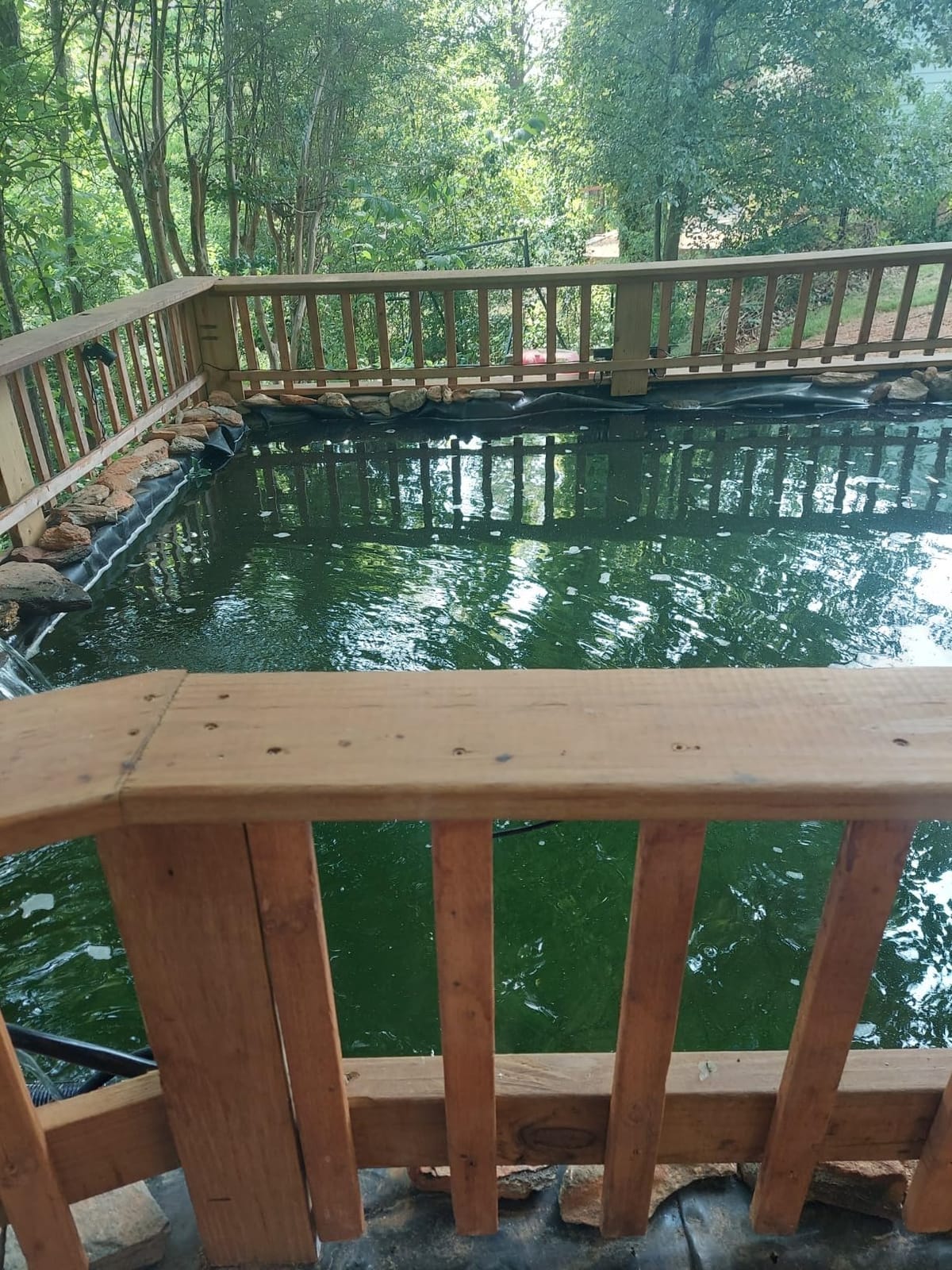 Beneficial Pond Starter Liquid with Billions of Microbes - 32oz | Clarifies and Cleans Murky Pond Water, Loaded with Active BU Units for Maximum Performance, Natural and Safe for Fish and Koi customer photo 1