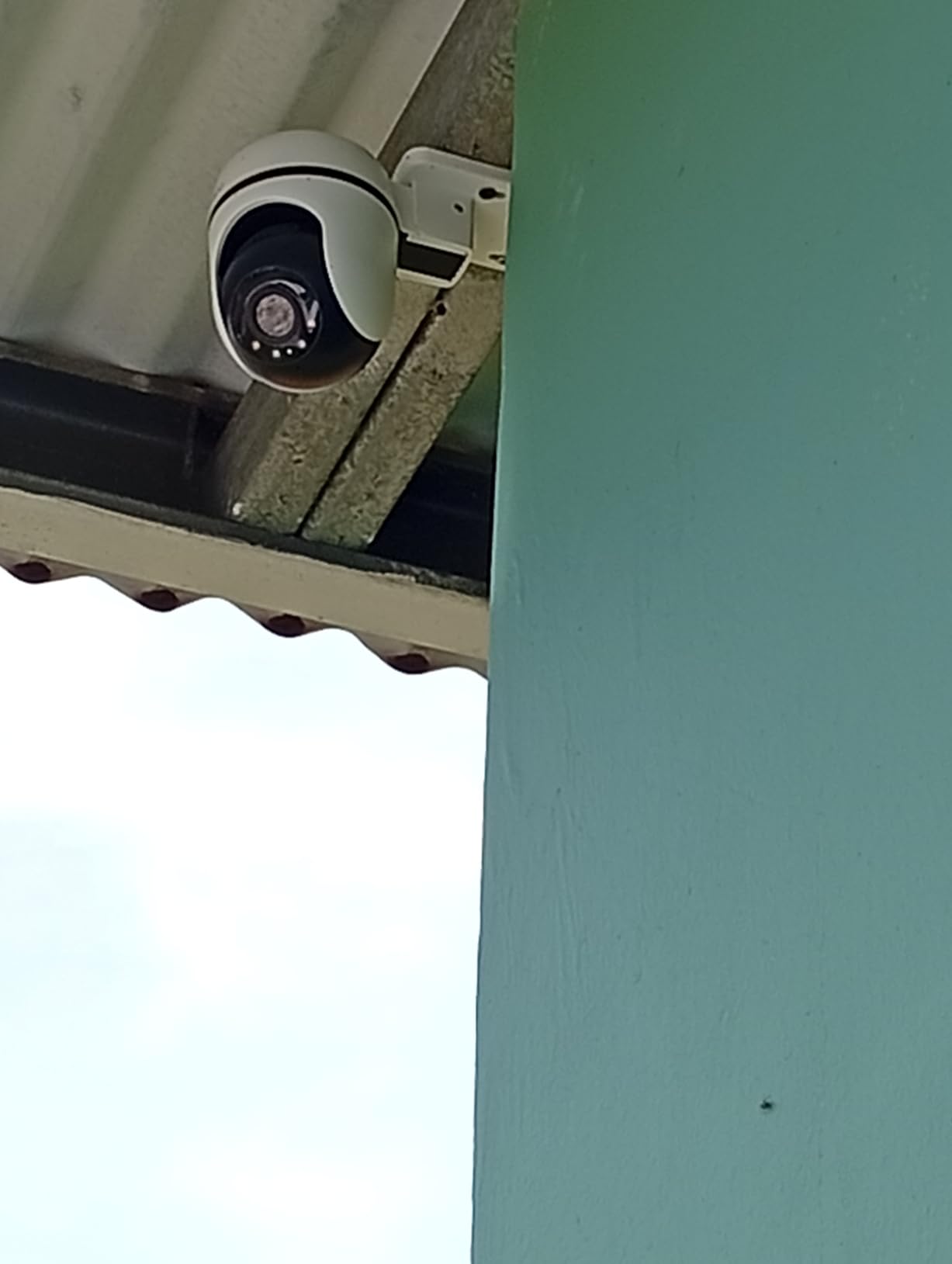 Tapo 1080P Outdoor Wired Pan/Tilt Security Wi-Fi Camera, 360 Degree View, Motion Tracking, Works with Alexa & Google Home, Night Vision, Free AI Detection, Cloud & SD Card Storage(up to 512GB), Tapo C500 customer photo 2