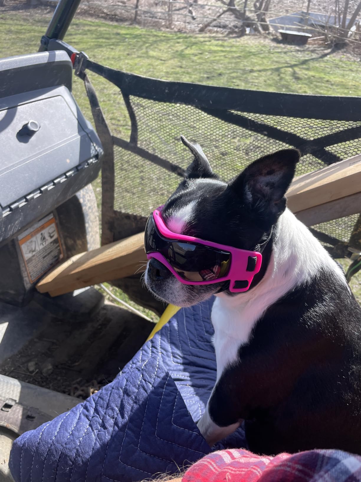 Dog Goggles Small Breed, Small Dog Sunglasses with UV Protection, Outdoor Pet Eyewear for Riding Biking Hiking, Adjustable Straps, Black S customer photo 1
