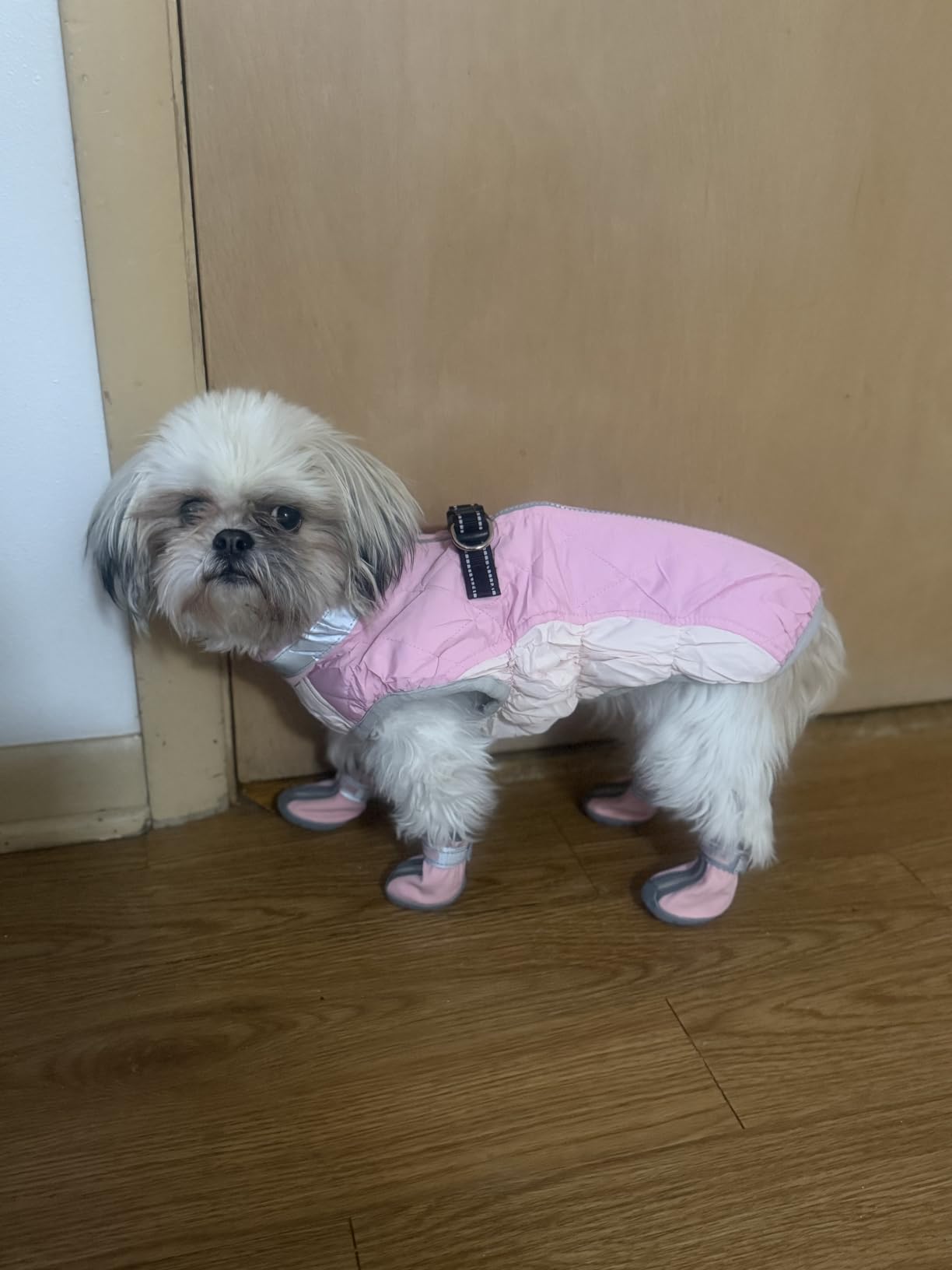 LeLePet Dog Coat, Windproof Camo Cold Weather Coat, Fleece Lined, Reflective, Adjustable, Turtleneck, Size S customer photo 1