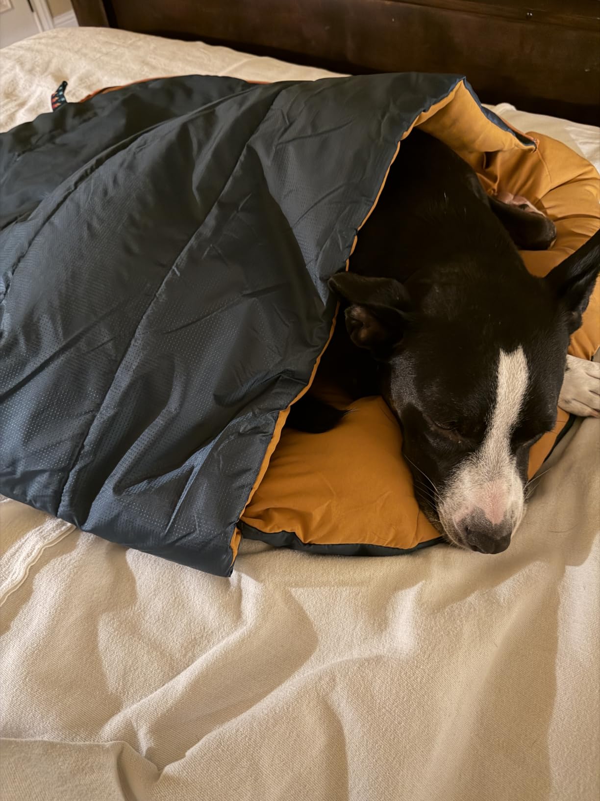 Wilderdog Dog Sleeping Bag - 36in x 28in customer photo 1