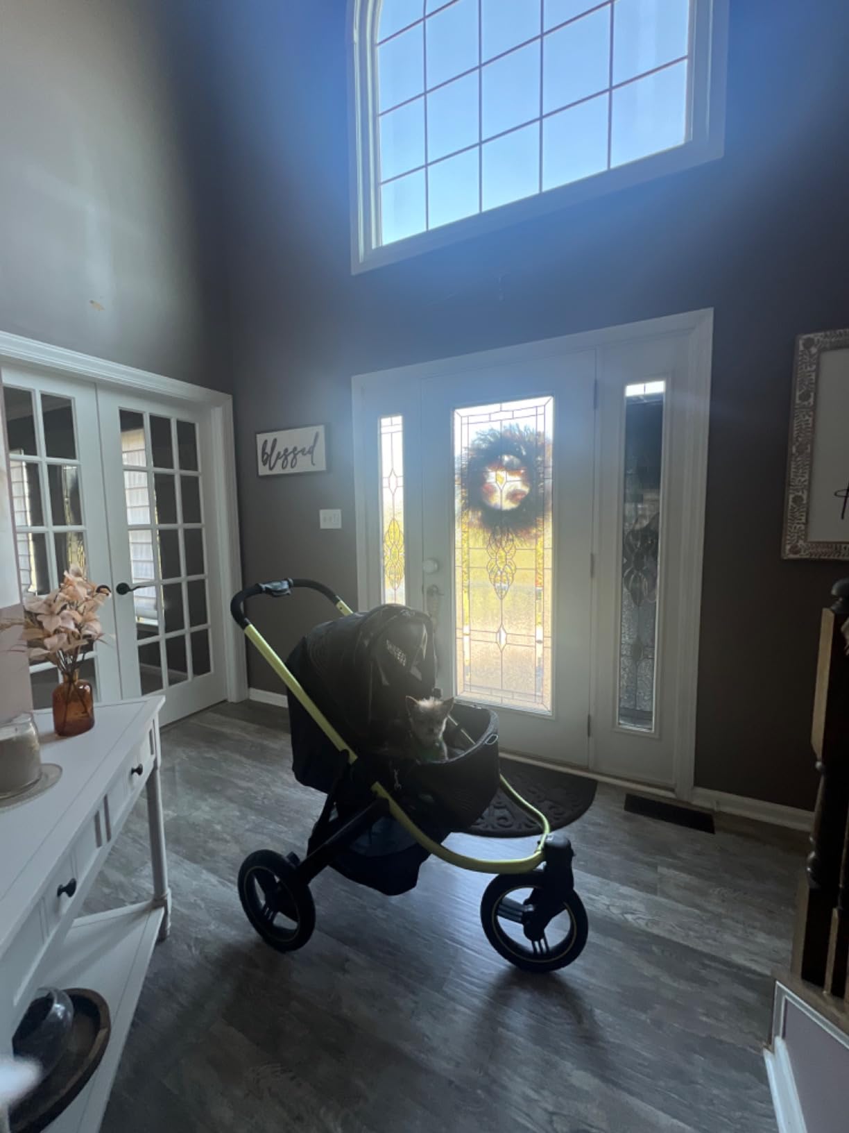 ibiyaya The Beast Pet Jogging Stroller for All Terrains, 3-Wheel Dog Carrier with Double Breaks, Zipperless Large Stroller for Running & Hiking, Multiple Small Dogs, Medium Dogs, or Cats (Jet Black) customer photo 2