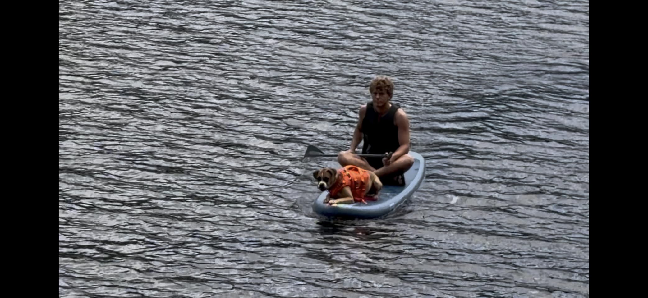 Kuoser Dog Life Jacket, High Flotation Reflective Dog Life Vest, Orange, L | Adjustable Dog Lifejackets for Small Medium Large Dogs, Lifevest with Rescue Handle for Swimming, Boating, Lake, Beach & Pool customer photo 1