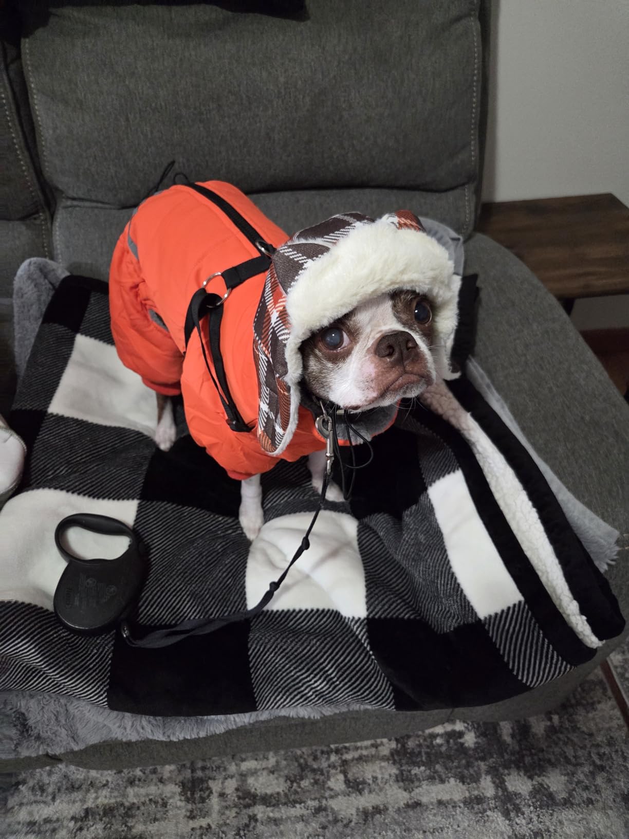 BRKURLEG Black Dog Coat with Harness, Dog Winter Jacket, Dogs Onesie Body Warm Jackets, Small Dogs Winter Coats Reflective Windproof Warm Cold Weather Coats, Pet Waterproof Jacket Hiking L customer photo 1