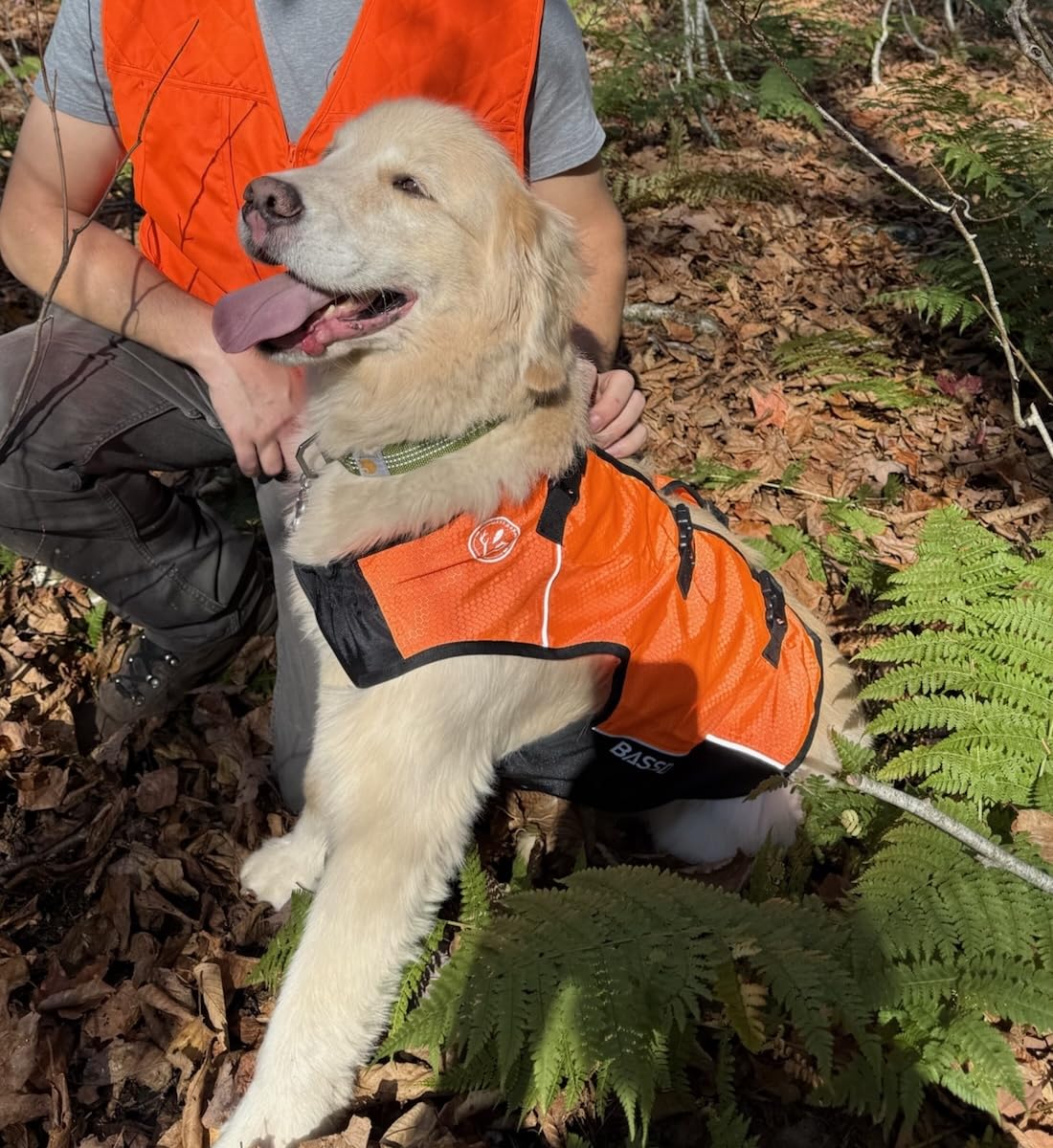 BASSDASH Dog Safety Vest Lightweight Water Resistant Chest Protection Blaze Orange Reflective High Visibility for Hunting Outdoor customer photo 1