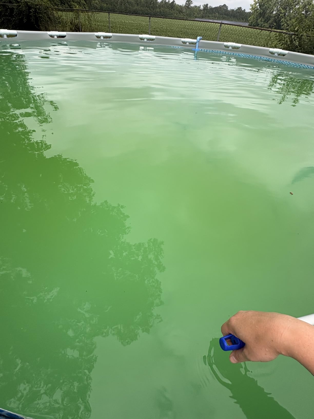 KOKIDO Cordless Handheld Pool Vacuum for Above Ground Pool, with 6ft Pole and 2 Vac Brush Heads, Ideal for Spot Cleaning Small Inground Pool Spa up to 20ft, Rechargeable, 60min, Sand and Light Debris customer photo 2
