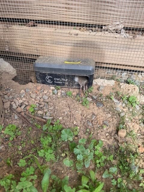 OWLTRA 2 Pack OW-7 in-/Outdoor Electric Rodent Trap, Instant Eliminate Rodent Zapper with Waterproof Cover, Sound & Light Alarm, and Batteries or USB Power Source, Waterproof Grade IPX4, Black customer photo 1
