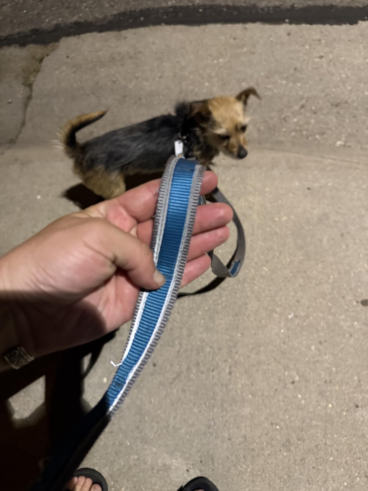 Kurgo Quantum 6 in 1 Dog Leash, Black | Hands Free Leash Converts to Waist Belt, Over Shoulder, Double Leash, Tether, 6ft or 3ft Lead, Reflective, Carabiner Clip customer photo 2