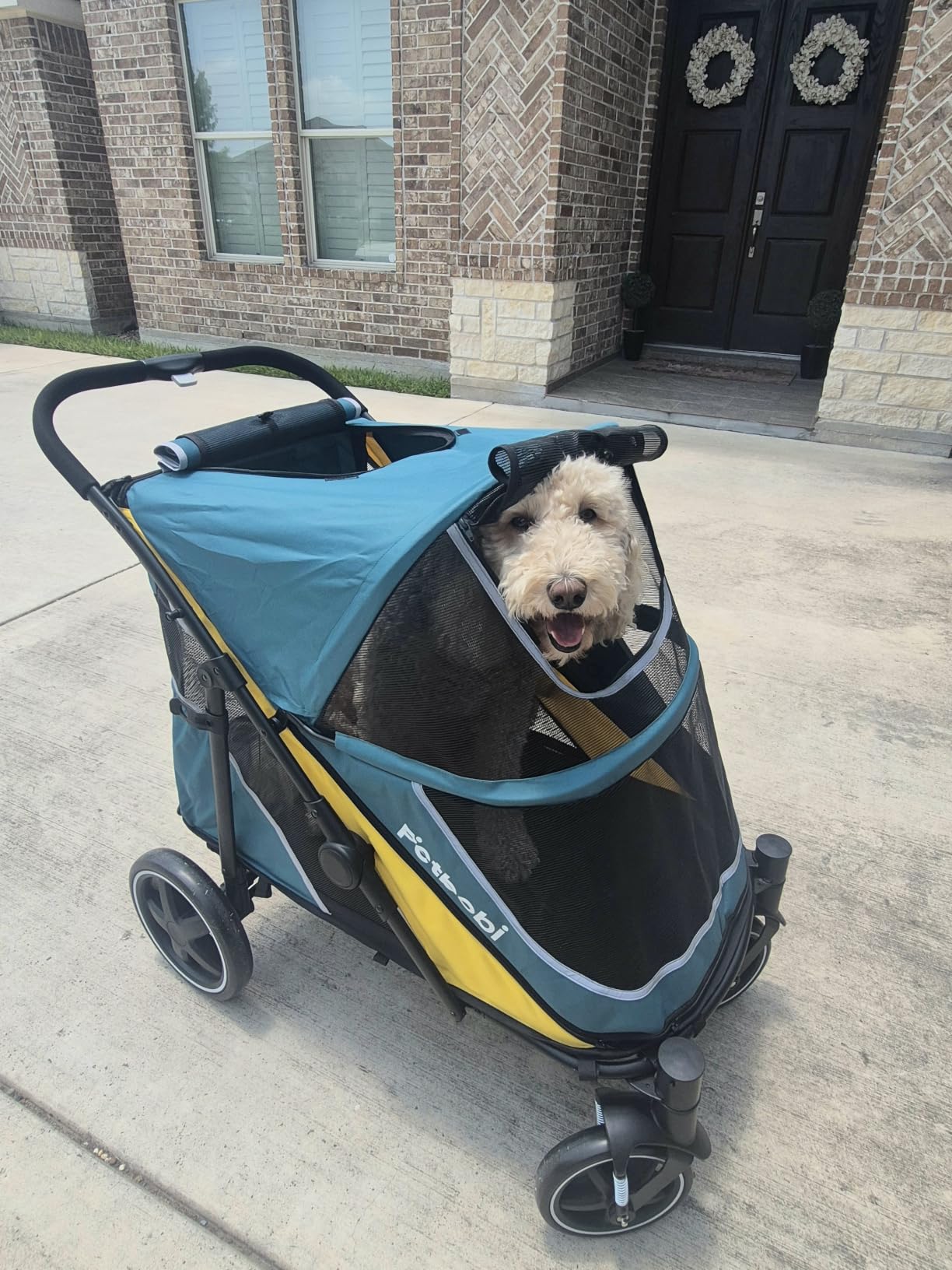 Petbobi Dog Stroller for Large & Medium Dogs - Easy Fold Dual Entry Pet Stroller with One-Foot Brake, All Terrain Wagon Cart with Air Mesh, Ideal for Large Senior Pets up to 80 lbs, Black customer photo 1