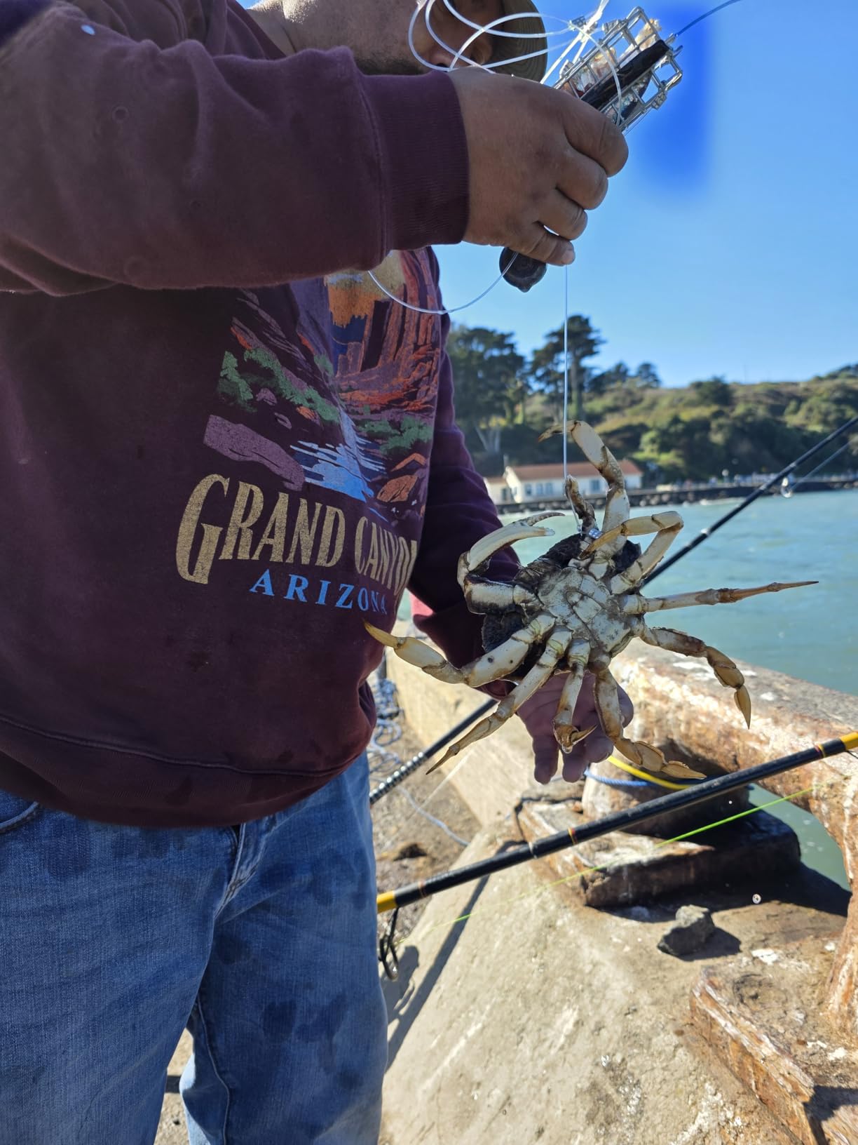 Handcrafted Castable Crab Trap for Fishing Pole, US Manufactured Premium Loops, Highly Durable Crab Trap for Crabbing Blue, Dungeness, Red & Rock Crabs (AERO) customer photo 1