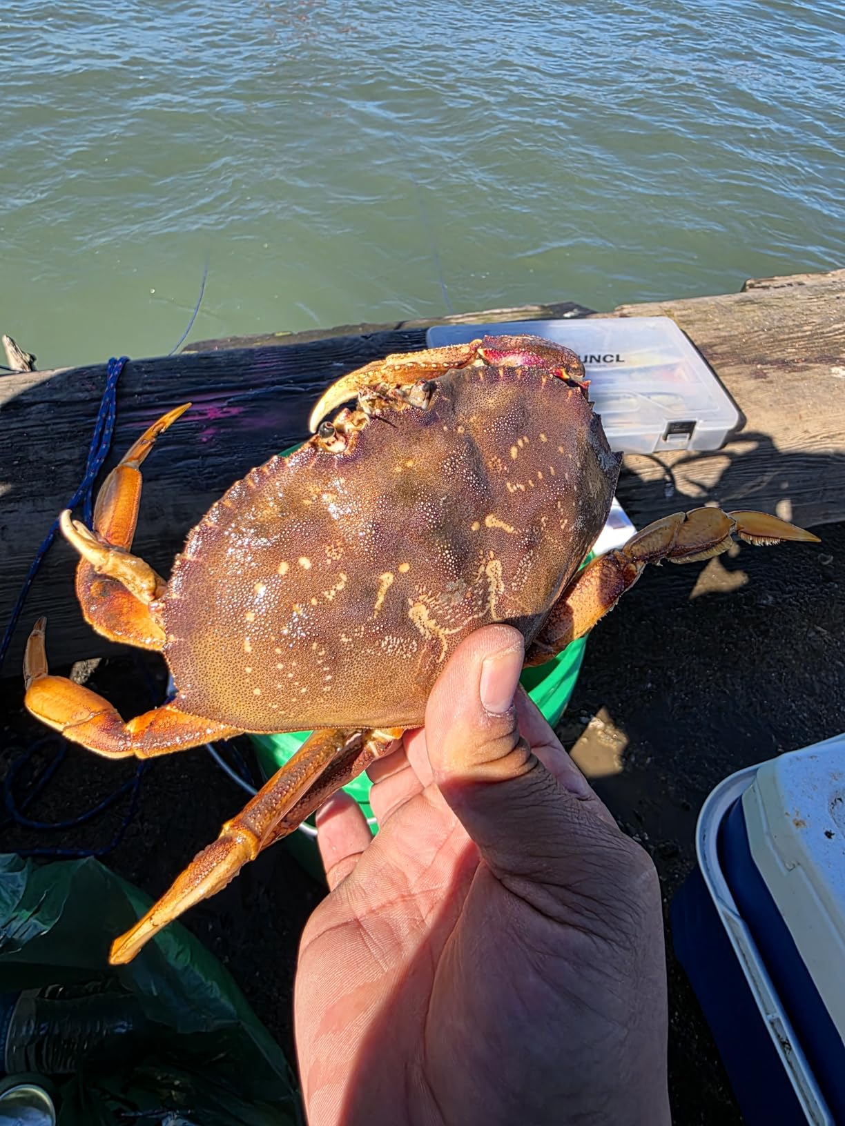 Handcrafted Castable Crab Trap for Fishing Pole, US Manufactured Premium Loops, Highly Durable Crab Trap for Crabbing Blue, Dungeness, Red & Rock Crabs (AERO) customer photo 2