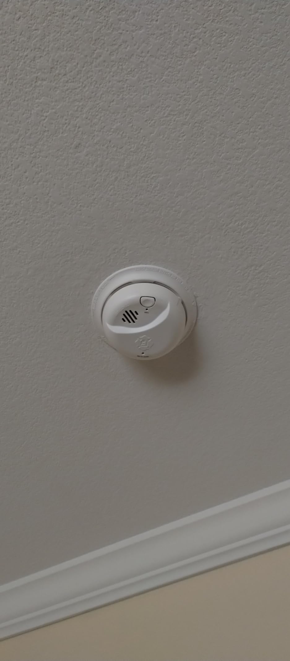 First Alert Smoke Alarm, Battery-Operated Detector with Test & Silence Button, SMI100, 1-Pack customer photo 1