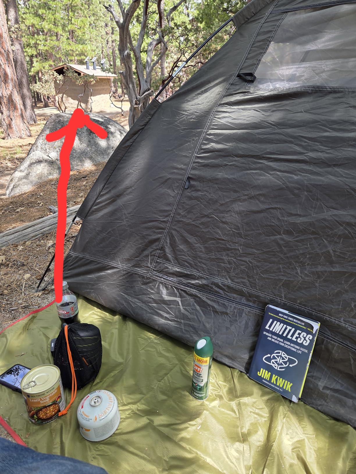 Frelaxy Tent Footprint, Lightweight Waterproof Camping Tarp for Hiking | Durable tear-resistant material, Compact portable design, Tent floor protection, Backpacking hammock beach camping customer photo 2