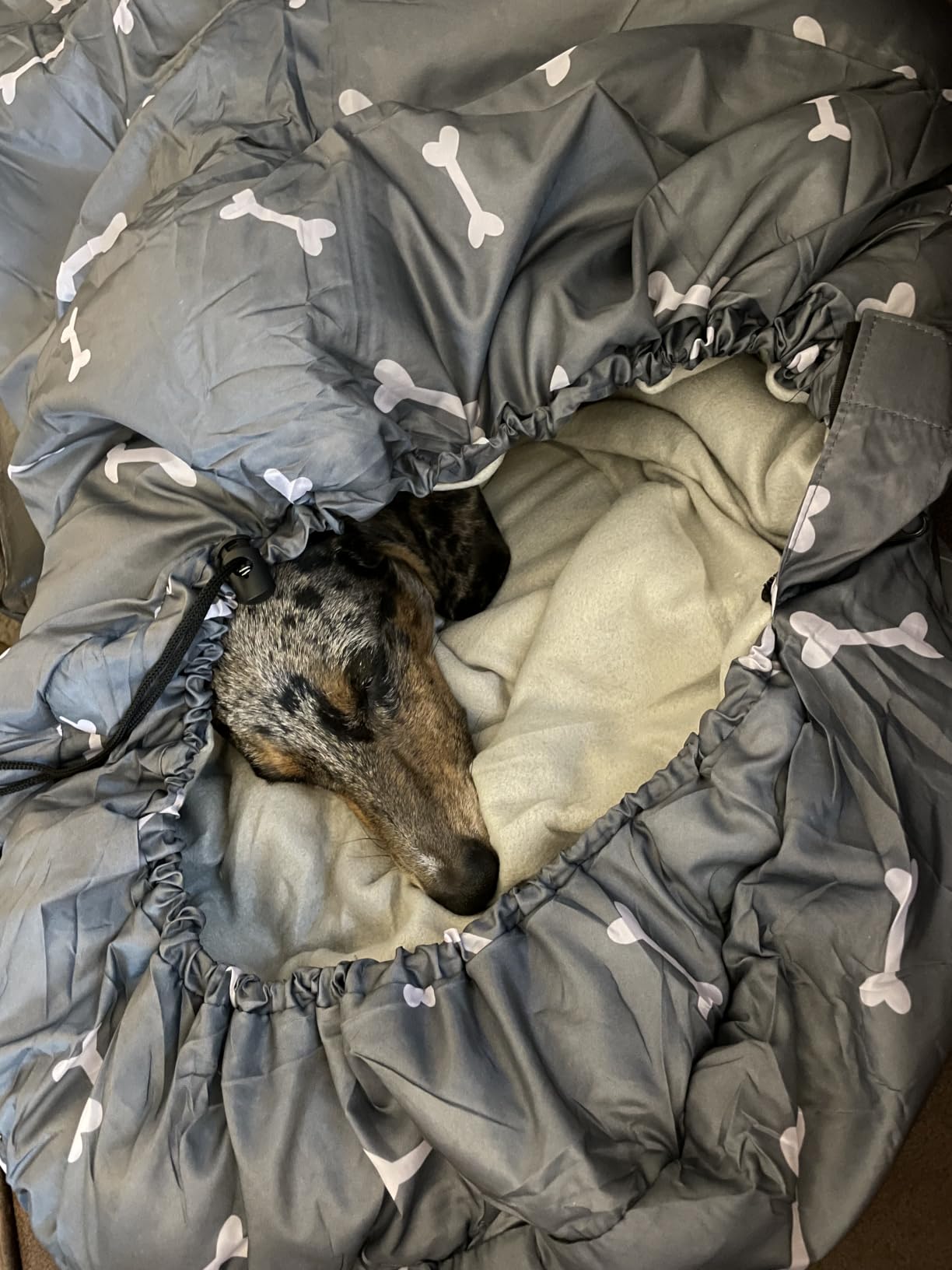 Dog Sleeping Bag Waterproof Warm Packable Dog Bed Mat with Storage Bag for Indoor Outdoor Travel Camping Hiking Backpacking (Grey) customer photo 1