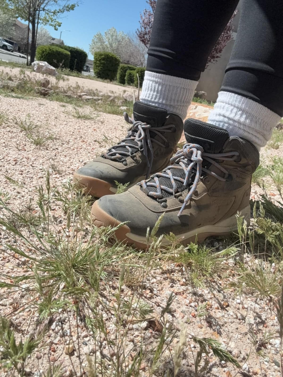 Columbia Women's Newton Ridge Plus Waterproof Hiking Boots customer photo 2