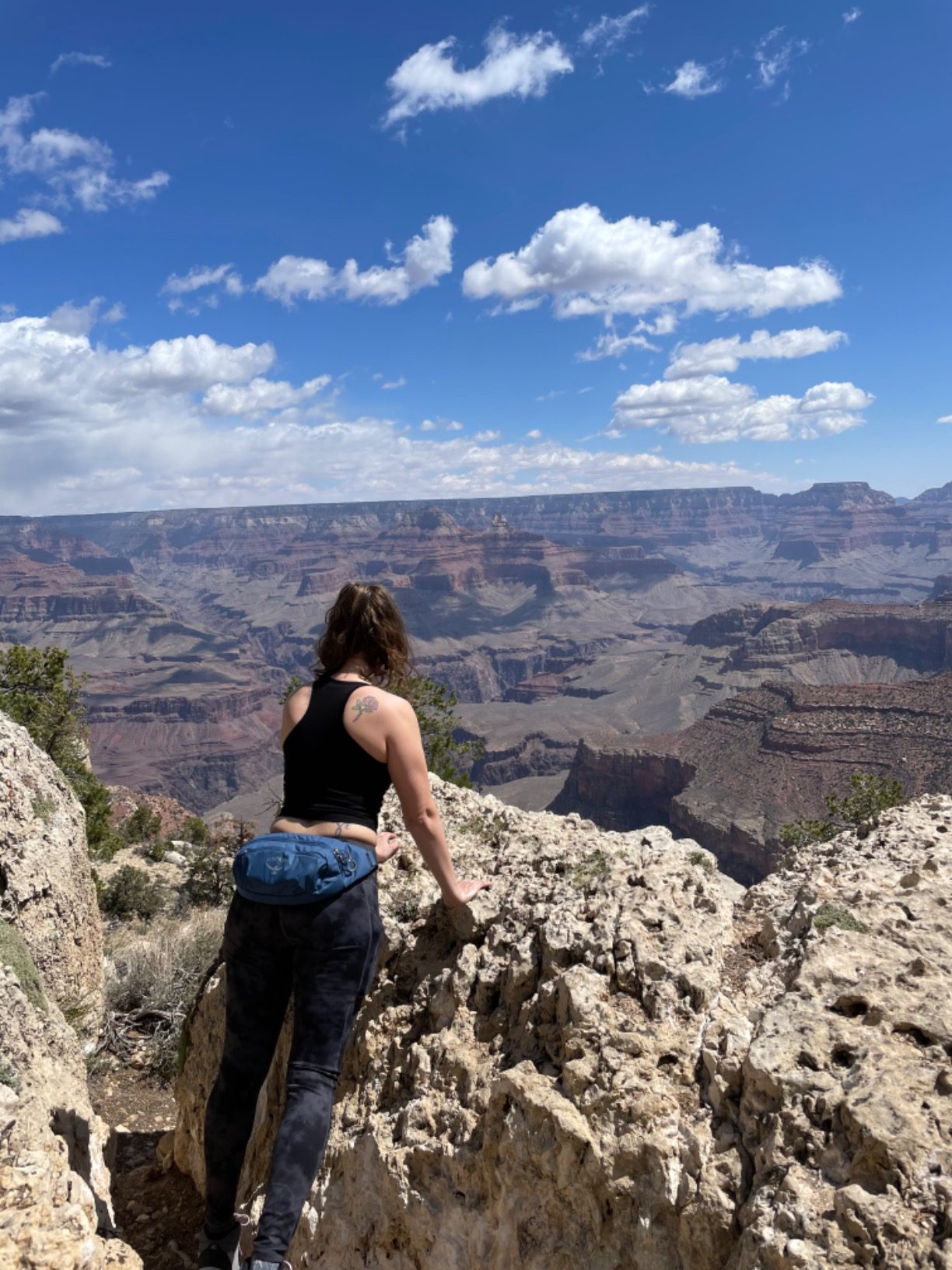Osprey Daylite Waist Pack - Fanny Pack with Crossbody Shoulder Carry Option - Lightweight Hip Bag customer photo 2
