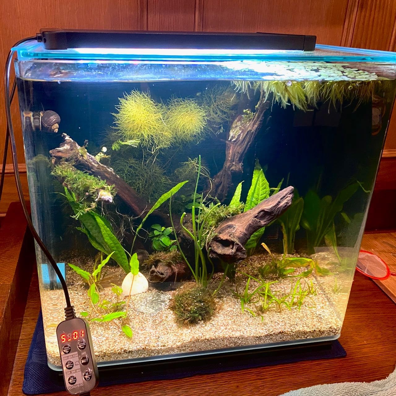 Pawfly 17W 24/7 Planted Aquarium LED Light for 12