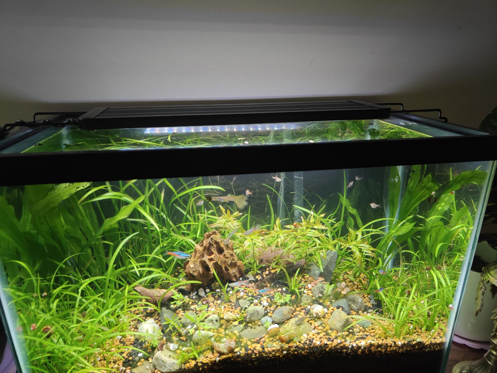Pawfly 17W 24/7 Planted Aquarium LED Light for 12