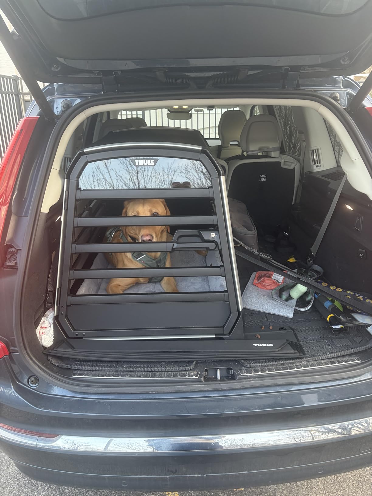 Thule Allax Dog Crate S customer photo 2