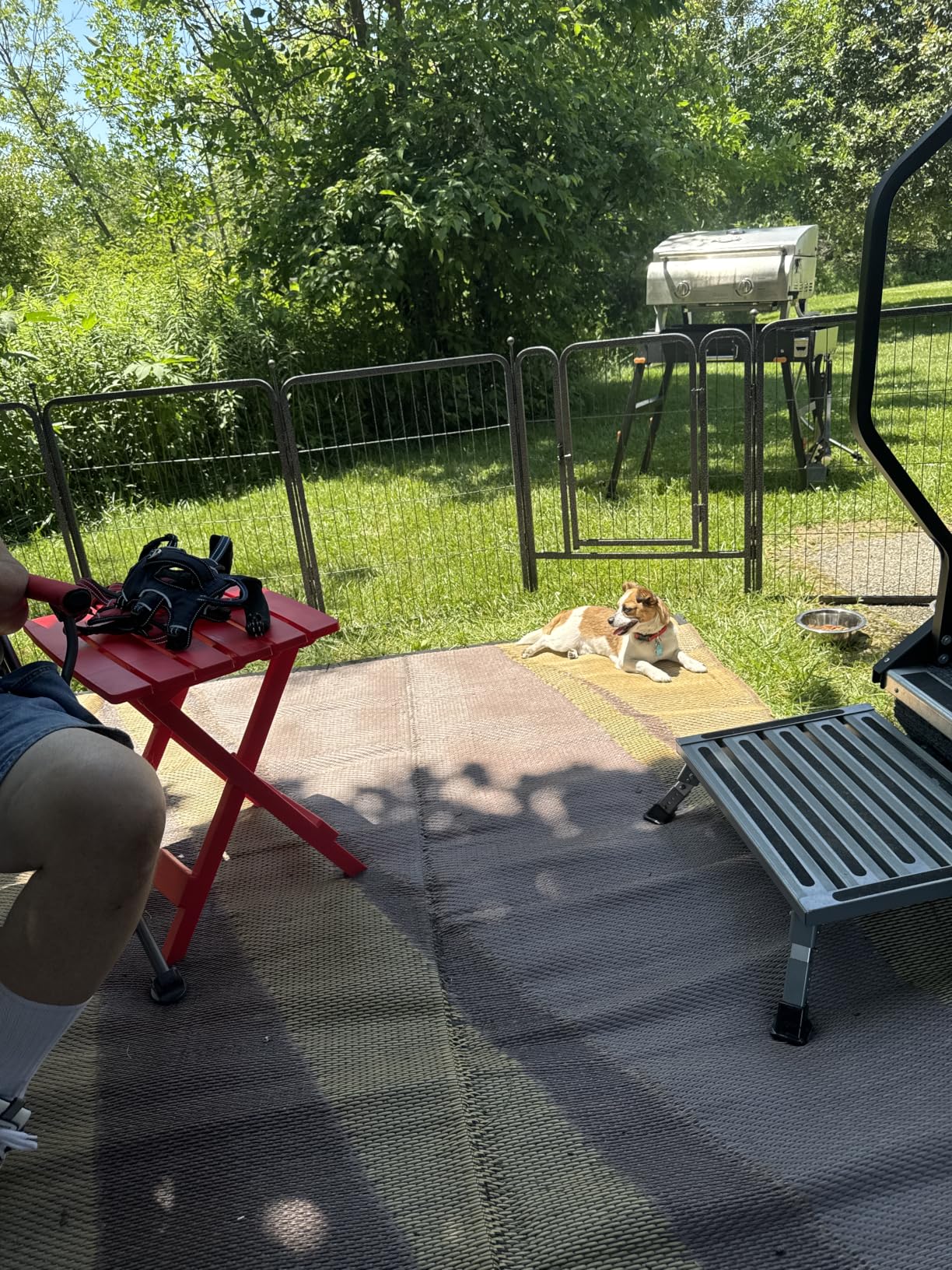 Musen Dog Playpen Indoor Outdoor, 16 Panels Dog Pen 32