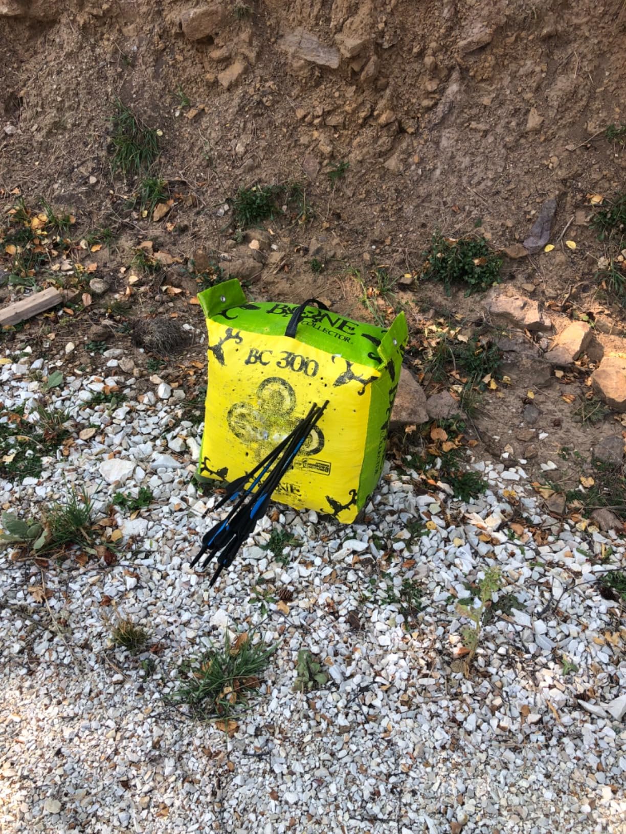 Sanlida Dragon X7 Ready to Hunt Compound Bow Package for Adults, Archery Compound Bow and Arrow Set, 0-70 Lbs Draw Weight, No Bow Press Needed, RH Only, Limited Life-time Warranty customer photo 1